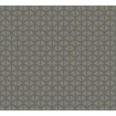 KT3-75973 A.S. Création vliesová tapeta na stenu Trendwall 2 (2024), veľkosť 10,05 m x 53 cm