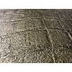 KT75AQ1369 Rasch vliesová umývateľná tapeta na stenu African Queen III 2025, veľkosť 10,05 m x 53 cm
