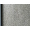 M29998D UGÉPA francúzska vliesová tapeta na stenu s vinylovým umývateľným povrchom katalóg Eden 2023, veľkosť 1,06 x 10,05 m