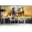 MP-2-0227 Vliesová obrazová panoramatická fototapeta Horses in Sunset + lepidlo Bezplatne, veľkosť 375 x 150 cm