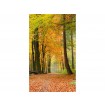 MS-2-0099 Vliesová obrazová fototapeta Autumn Forest, veľkosť 150 x 250 cm