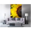 MS-2-0130 Vliesová obrazová fototapeta Sunflowers, veľkosť 150 x 250 cm
