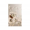 MS-2-0148 Vliesová obrazová fototapeta Dandelions and Butterfly, veľkosť 150 x 250 cm