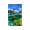 MS-2-0200 Vliesová obrazová fototapeta Coral Reef, veľkosť 150 x 250 cm
