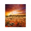 MS-3-0050 Vliesová obrazová fototapeta Australian Landscape, veľkosť 225 x 250 cm