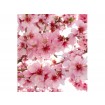 MS-3-0109 Vliesová obrazová fototapeta Sakura, veľkosť 225 x 250 cm