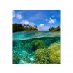 MS-3-0200 Vliesová obrazová fototapeta Coral Reef, veľkosť 225 x 250 cm