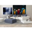 MS-3-0223 Vliesová obrazová fototapeta Colorful Macaw, veľkosť 225 x 250 cm