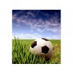 MS-3-0305 Vliesová obrazová fototapeta Soccer Ball, veľkosť 225 x 250 cm