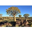 MS-5-0103 Vliesová obrazová fototapeta Namibia, veľkosť 375 x 250 cm