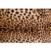 MS-5-0184 Vliesová obrazová fototapeta Leopard Skin, veľkosť 375 x 250 cm