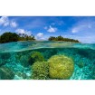 MS-5-0200 Vliesová obrazová fototapeta Coral Reef, veľkosť 375 x 250 cm