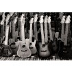 MS-5-0303 Vliesová obrazová fototapeta Guitars Collection, veľkosť 375 x 250 cm