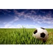 MS-5-0305 Vliesová obrazová fototapeta Soccer Ball, veľkosť 375 x 250 cm