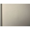 P492440005 A.S. Création vliesová tapeta na stenu Styleguide Jung 2024 jednofarebná, veľkosť 10,05 m x 53 cm