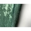 P492440010 A.S. Création vliesová tapeta na stenu Styleguide Jung 2024 imitácia lesklého štuku, veľkosť 10,05 m x 53 cm