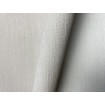P492440013 A.S. Création vliesová tapeta na stenu Styleguide Jung 2024 jednofarebná, veľkosť 10,05 m x 53 cm