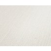 P492440014 A.S. Création vliesová tapeta na stenu Styleguide Jung 2024 jednofarebná, veľkosť 10,05 m x 53 cm