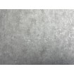 P492440022 A.S. Création vliesová tapeta na stenu Styleguide Jung 2024 pásikavá imitácia omietky, veľkosť 10,05 m x 53 cm