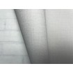 P492440050 A.S. Création vliesová tapeta na stenu Styleguide Jung 2024 jednofarebná, veľkosť 10,05 m x 53 cm