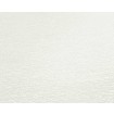 P492440055 A.S. Création vliesová tapeta na stenu Styleguide Jung 2024 jednofarebná, veľkosť 10,05 m x 53 cm