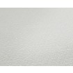 P492440057 A.S. Création vliesová tapeta na stenu Styleguide Jung 2024 jednofarebná, veľkosť 10,05 m x 53 cm
