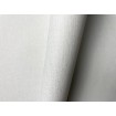 P492440070 A.S. Création vliesová tapeta na stenu Styleguide Jung 2024 jednofarebná, veľkosť 10,05 m x 53 cm