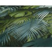 P492440072 A.S. Création vliesová tapeta na stenu Styleguide Jung 2024 palmové listy, veľkosť 10,05 m x 53 cm