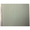 P492440078 A.S. Création vliesová tapeta na stenu Styleguide Jung 2024 jednofarebná, veľkosť 10,05 m x 53 cm