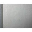 P492440079 A.S. Création vliesová tapeta na stenu Styleguide Jung 2024 jednofarebná, veľkosť 10,05 m x 53 cm
