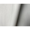P492440083 A.S. Création vliesová tapeta na stenu Styleguide Jung 2024 jednofarebná, veľkosť 10,05 m x 53 cm