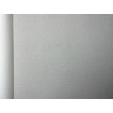 P492440088 A.S. Création vliesová tapeta na stenu Styleguide Jung 2024 jednofarebná, veľkosť 10,05 m x 53 cm
