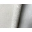P492440088 A.S. Création vliesová tapeta na stenu Styleguide Jung 2024 jednofarebná, veľkosť 10,05 m x 53 cm