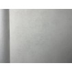 P492440092 A.S. Création vliesová tapeta na stenu Styleguide Jung 2024 jednofarebná, veľkosť 10,05 m x 53 cm
