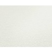 P492440093 A.S. Création vliesová tapeta na stenu Styleguide Jung 2024 jednofarebná, veľkosť 10,05 m x 53 cm