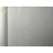 P492440098 A.S. Création vliesová tapeta na stenu Styleguide Jung 2024 jednofarebná, veľkosť 10,05 m x 53 cm