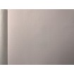 P492440099 A.S. Création vliesová tapeta na stenu Styleguide Jung 2024 jednofarebná, veľkosť 10,05 m x 53 cm