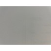 P492440100 A.S. Création vliesová tapeta na stenu Styleguide Jung 2024 jednofarebná, veľkosť 10,05 m x 53 cm