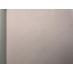 P492440103 A.S. Création vliesová tapeta na stenu Styleguide Jung 2024 jednofarebná, veľkosť 10,05 m x 53 cm