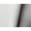 P492440106 A.S. Création vliesová tapeta na stenu Styleguide Jung 2024 jednofarebná, veľkosť 10,05 m x 53 cm