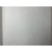 P492440109 A.S. Création vliesová tapeta na stenu Styleguide Jung 2024 biela s metalickým žíhaním, veľkosť 10,05 m x 53 cm