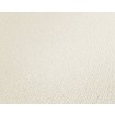 P492440111 A.S. Création vliesová tapeta na stenu Styleguide Jung 2024 jednofarebná, veľkosť 10,05 m x 53 cm