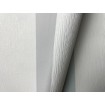 P492440112 A.S. Création vliesová tapeta na stenu Styleguide Jung 2024 pruhy, veľkosť 10,05 m x 53 cm
