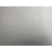 P492440115 A.S. Création vliesová tapeta na stenu Styleguide Jung 2024 jednofarebná, veľkosť 10,05 m x 53 cm
