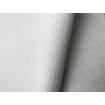 P492440117 A.S. Création vliesová tapeta na stenu Styleguide Jung 2024 jednofarebná, veľkosť 10,05 m x 53 cm