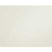P492440117 A.S. Création vliesová tapeta na stenu Styleguide Jung 2024 jednofarebná, veľkosť 10,05 m x 53 cm