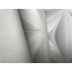 P492440118 A.S. Création vliesová tapeta na stenu Styleguide Jung 2024 retro grafický 3D motív, veľkosť 10,05 m x 53 cm