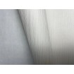 P492440122 A.S. Création vliesová tapeta na stenu Styleguide Jung 2024 jednofarebná so zvislým šrafovaním, veľkosť 10,05 m x 53 cm