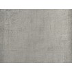 P492450004 A.S. Création historizujúca vliesová tapeta na stenu Styleguide Natürlich 2024 jednofarebná melírovaná s miernym leskom, veľkosť 10,05 m x 53 cm