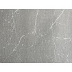 P492450055 A.S. Création historizujúca vliesová tapeta na stenu Styleguide Natürlich 2024 béžová s lesklým prelisom, veľkosť 10,05 m x 53 cm